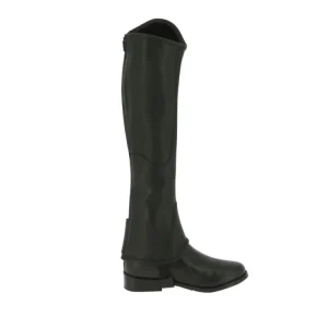 Stylish short leather chaps crafted for comfort and riding protection
